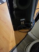 SVS SVS SoundPath Ultra Speaker Cable Review